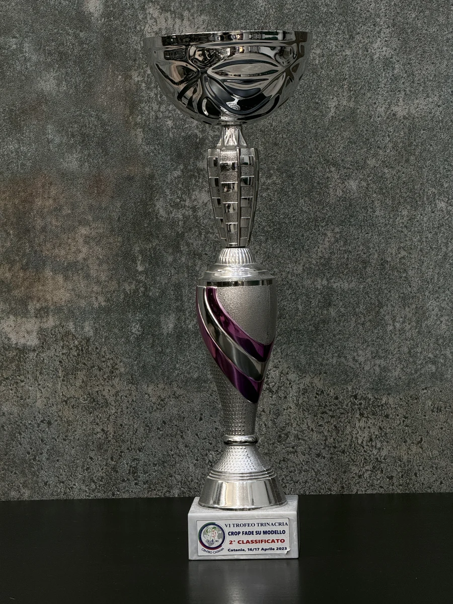 2° Posto Regionale · Definizione geometrica e texture - VI Trofeo Trinacria