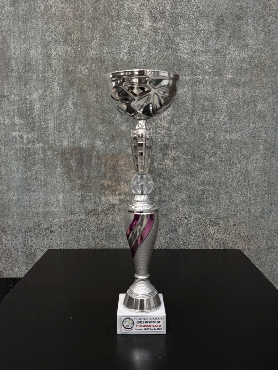 1° Posto Regionale · Architettura del capello riccio - VI Trofeo Trinacria